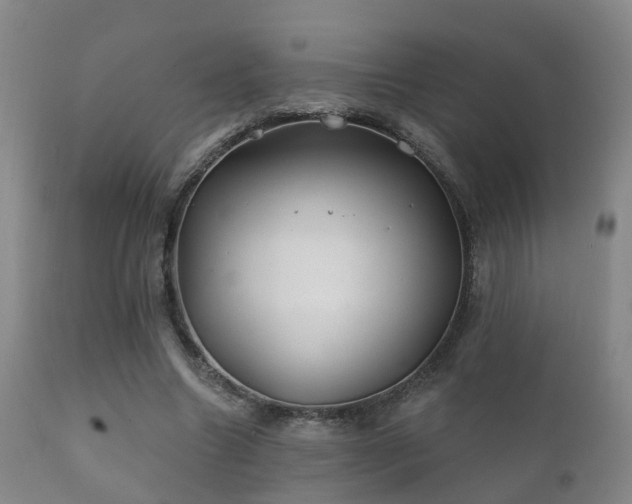 X0000112200538200908141436