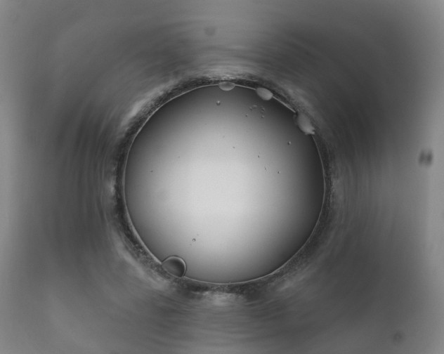 X0000112200539200908141436