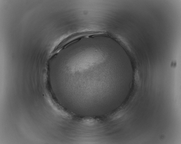 X0000112200540200908141436