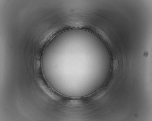 X0000112200541200908141436