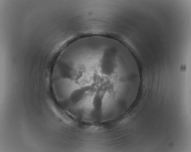 X0000112200542200908141436