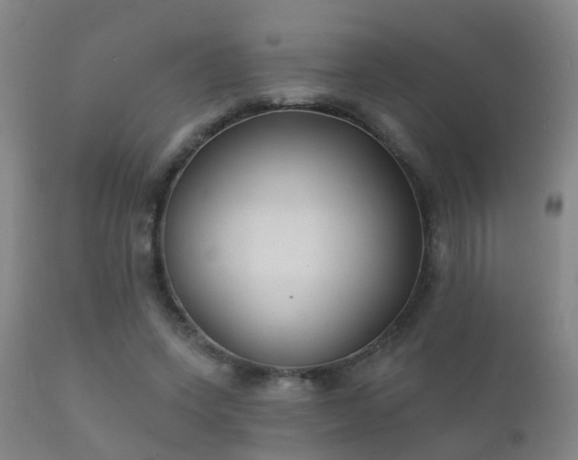 X0000112200543200908141436