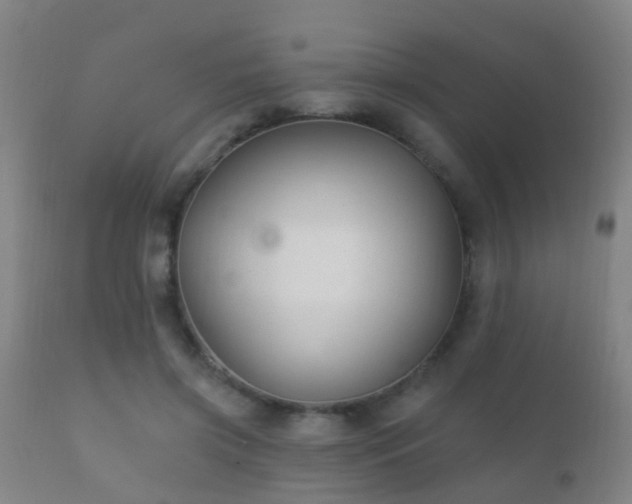 X0000112200549200908141436