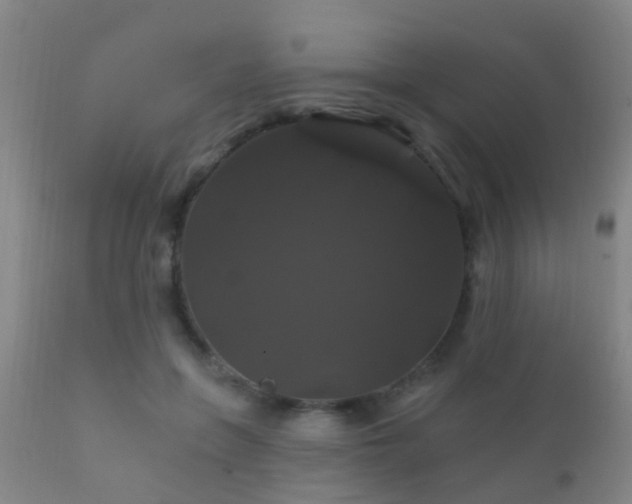 X0000112200551200908141436