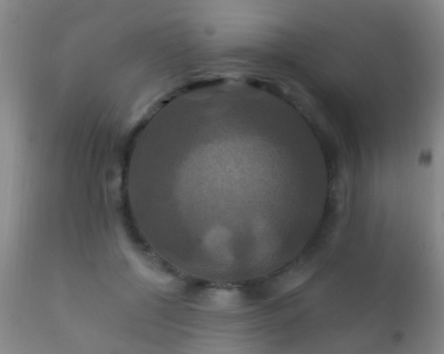 X0000112200552200908141436