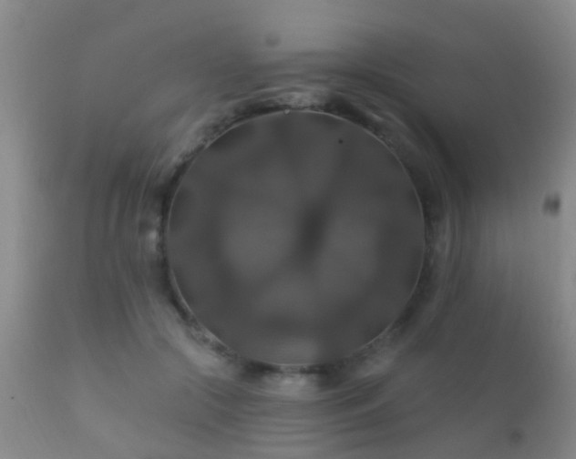 X0000112200553200908141436