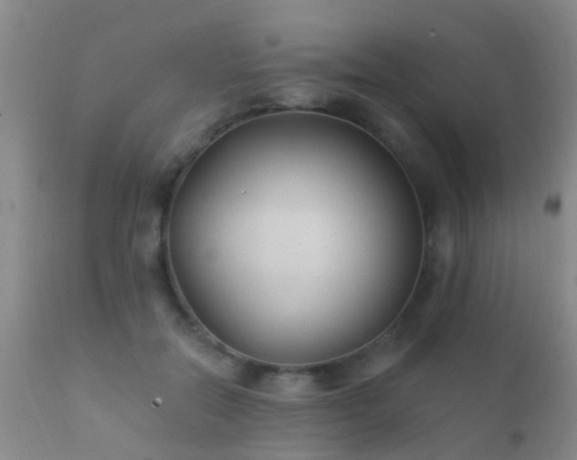 X0000112200554200908141436