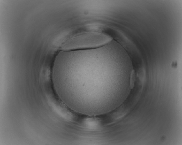 X0000112200556200908141436