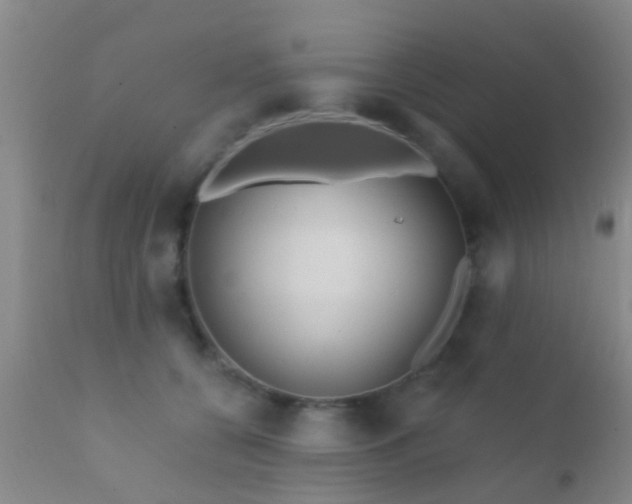 X0000112200560200908141436