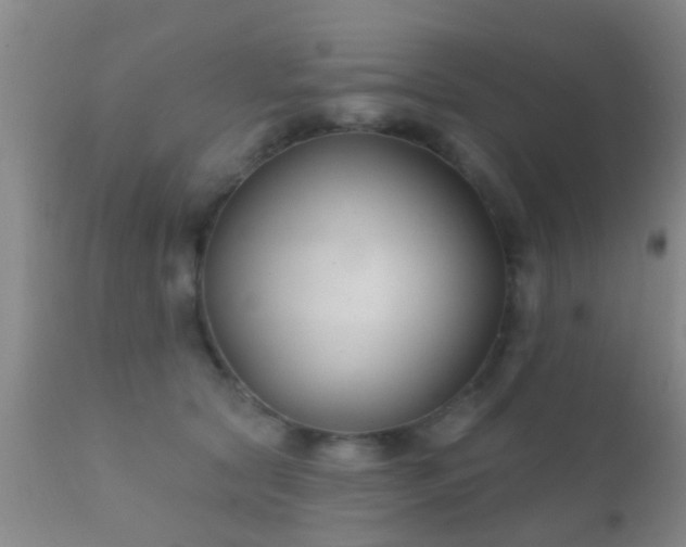 X0000112200561200908141436