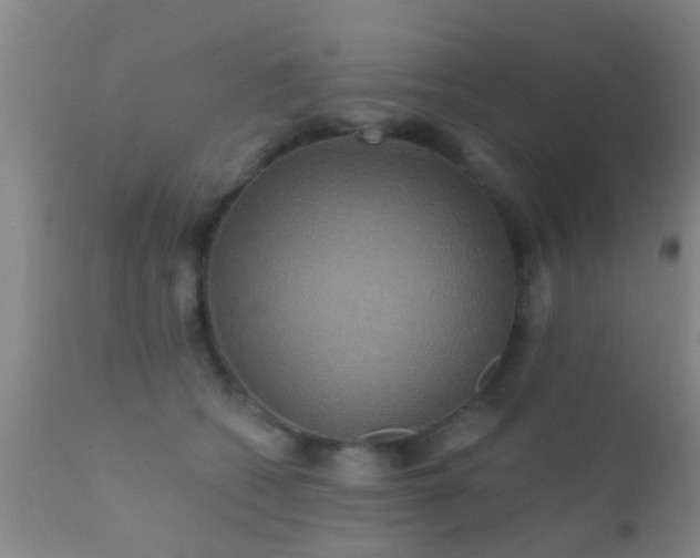 X0000112200562200908141436