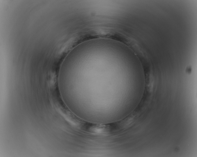 X0000112200563200908141436