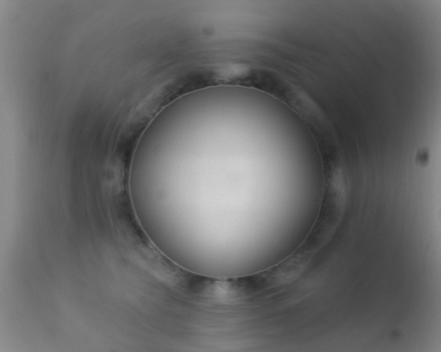 X0000112200565200908141436