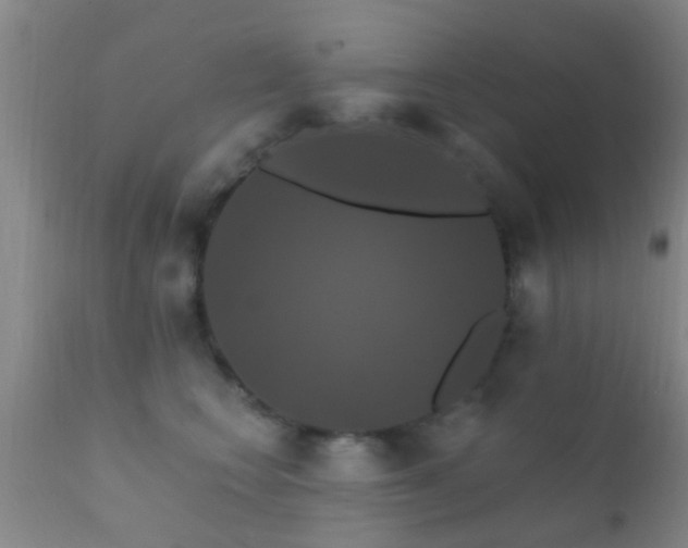 X0000112200566200908141436