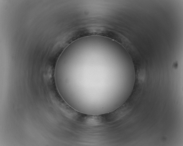 X0000112200567200908141436