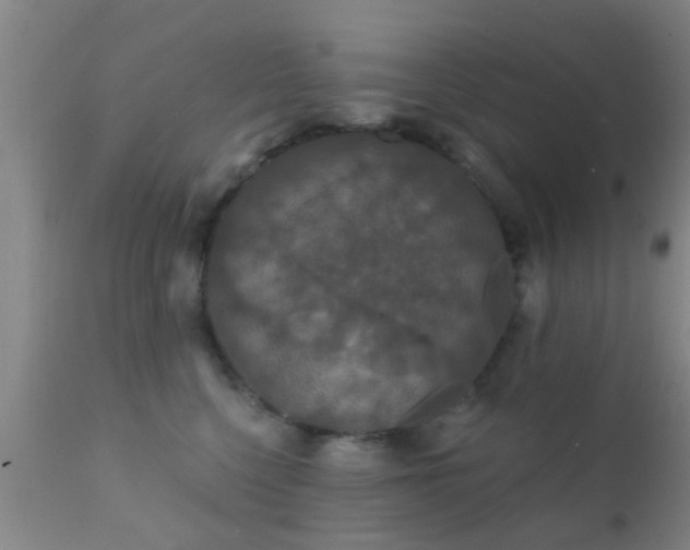 X0000112200568200908141436