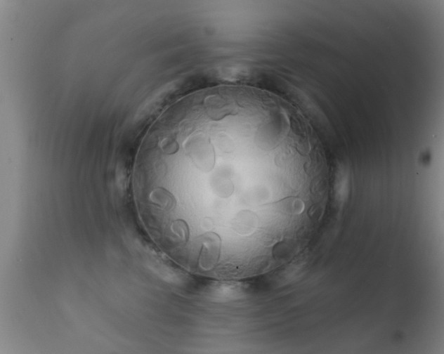 X0000112200569200908141436