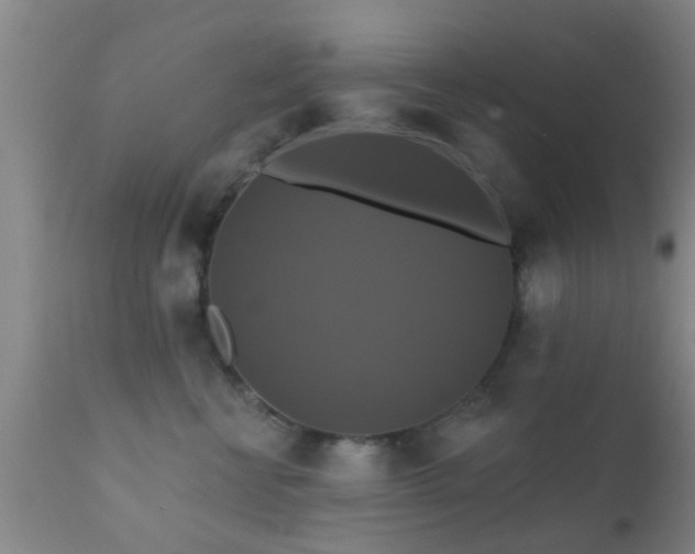 X0000112200570200908141436