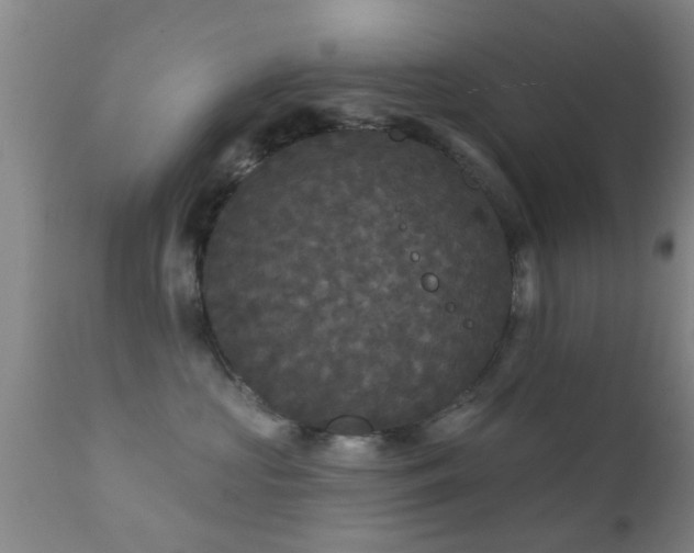 X0000112200573200908141436