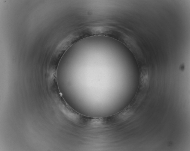 X0000112200574200908141436