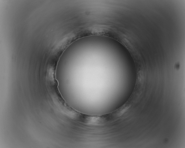 X0000112200575200908141436