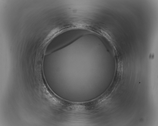 X0000112200577200908141436