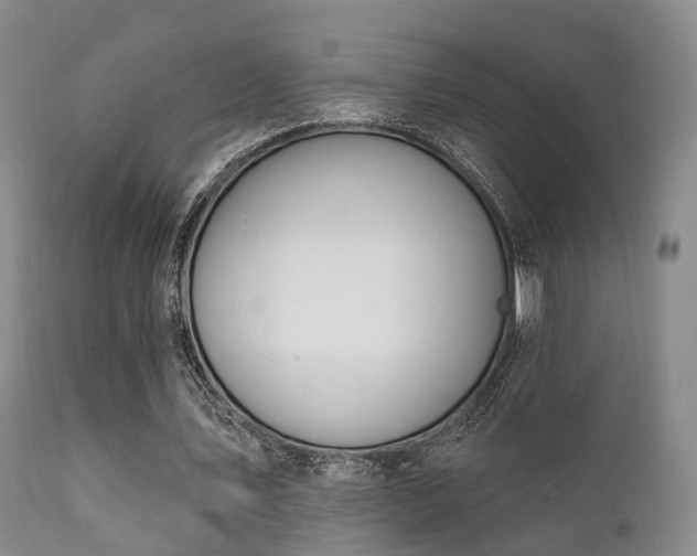 X0000112200579200908141436