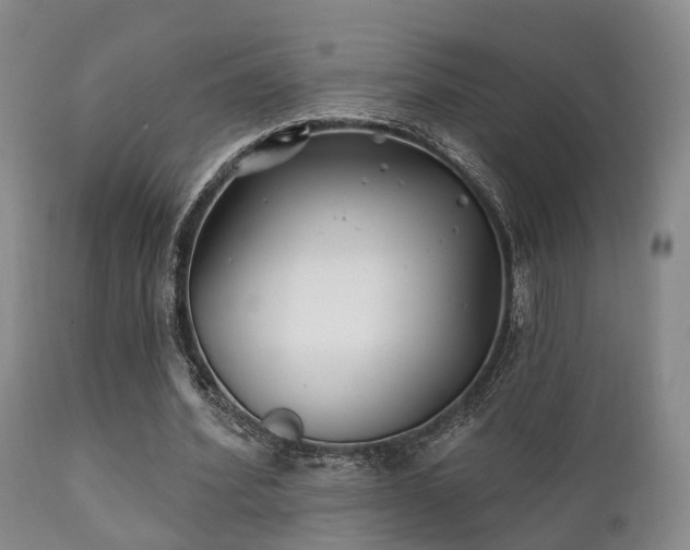 X0000112200580200908141436