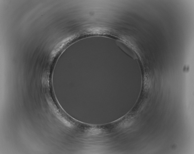 X0000112200581200908141436