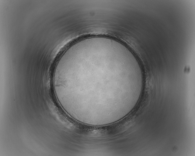 X0000112200584200908141436