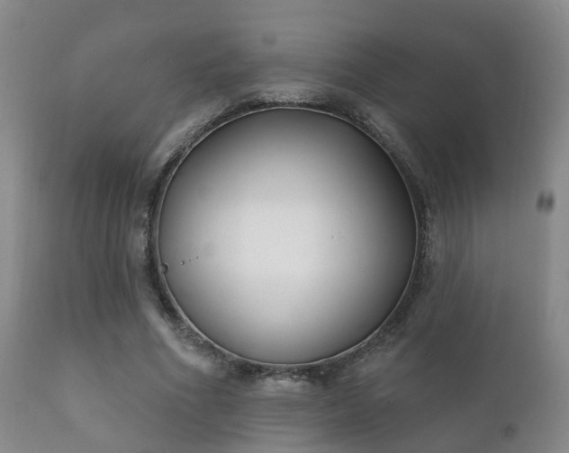 X0000112200586200908141436