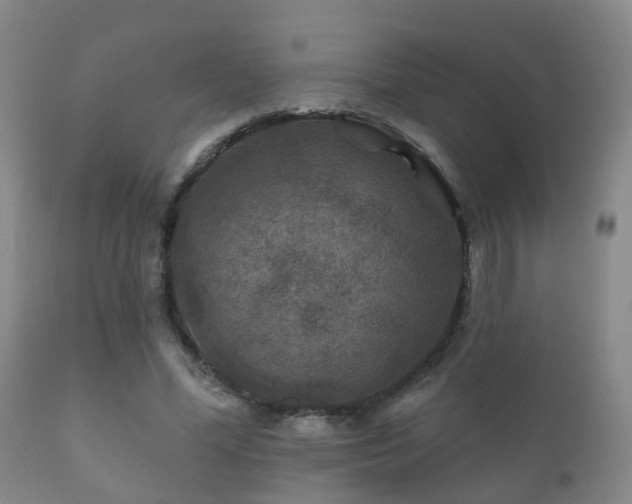 X0000112200588200908141435