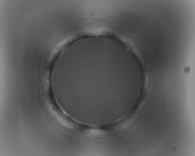 X0000112200590200908141435