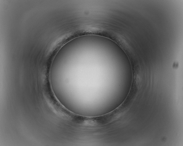 X0000112200591200908141435