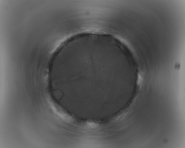 X0000112200592200908141435