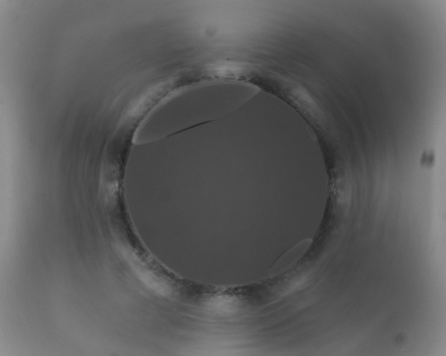 X0000112200593200908141435