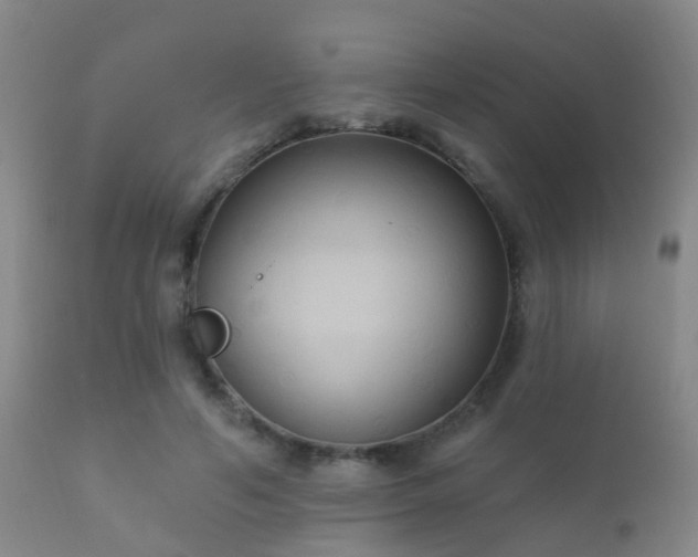 X0000112200594200908141435