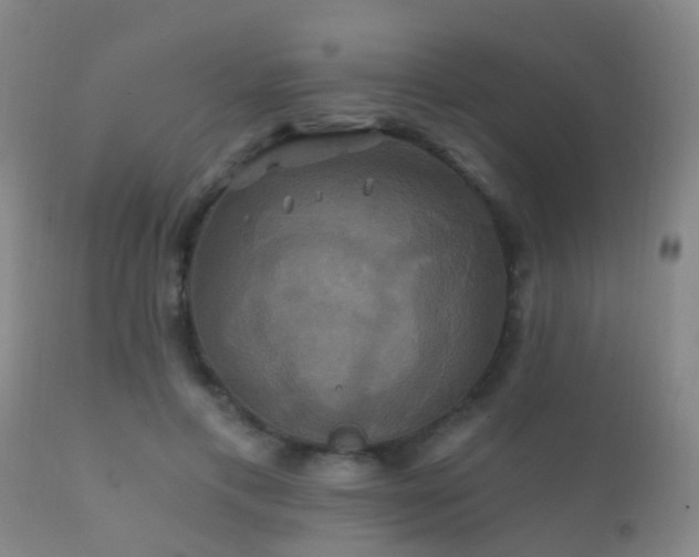 X0000112200597200908141435