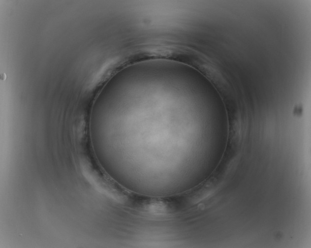 X0000112200600200908141435