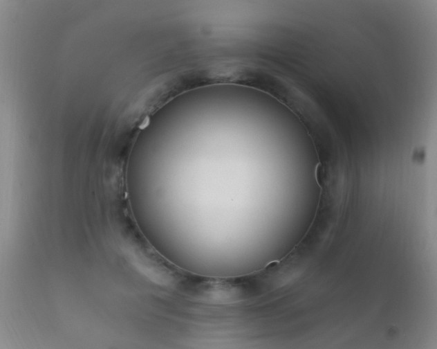 X0000112200601200908141435