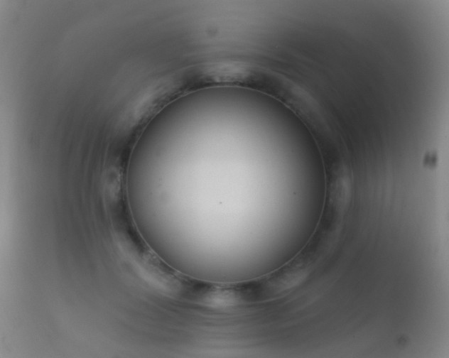 X0000112200604200908141435