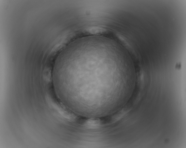 X0000112200606200908141435