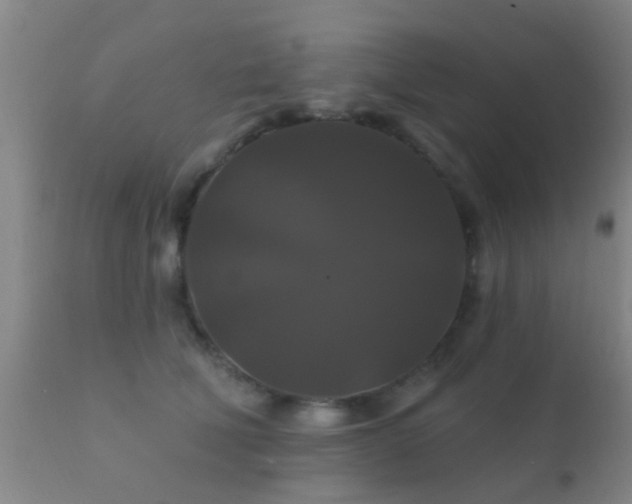 X0000112200610200908141435