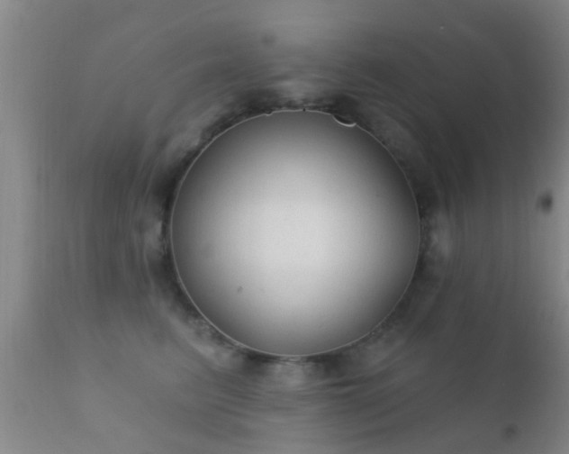 X0000112200615200908141435