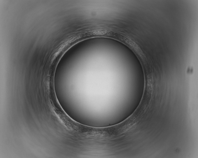 X0000112200626200908141434