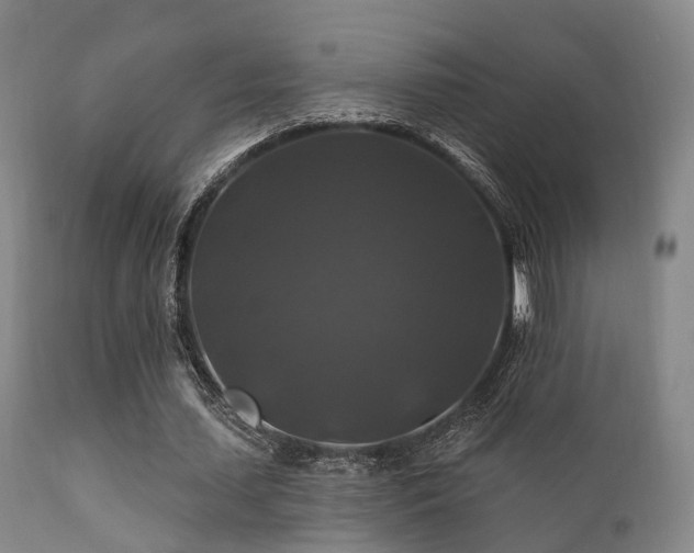 X0000112200627200908141434