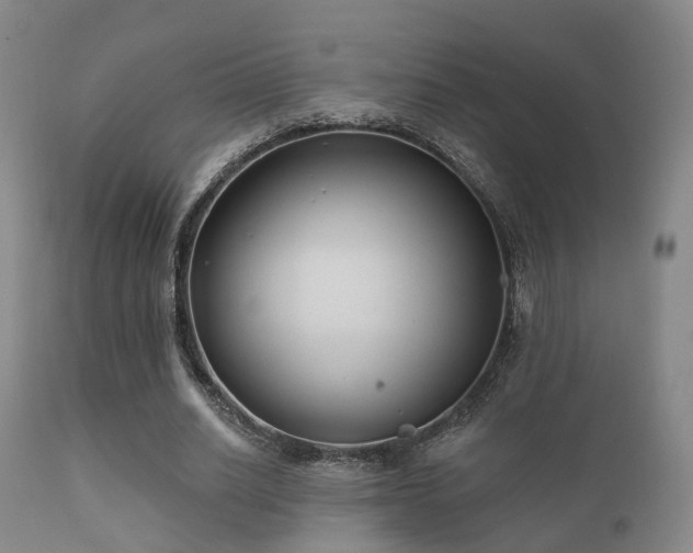 X0000112200630200908141434