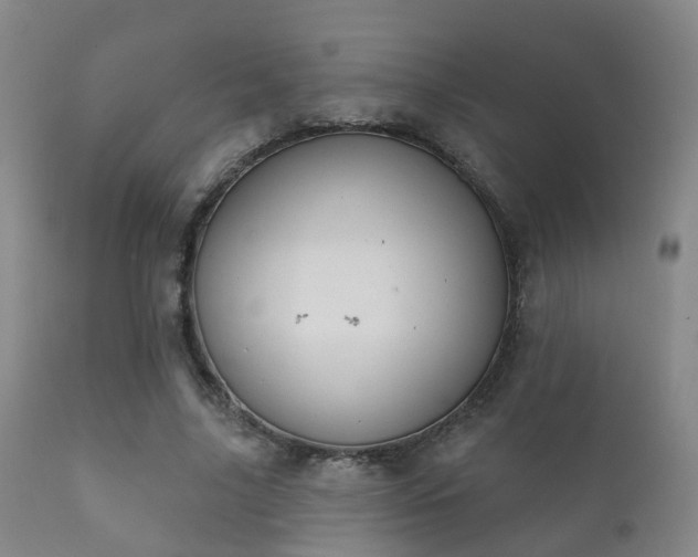 X0000112200635200908141434