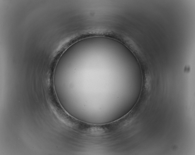 X0000112200636200908141434