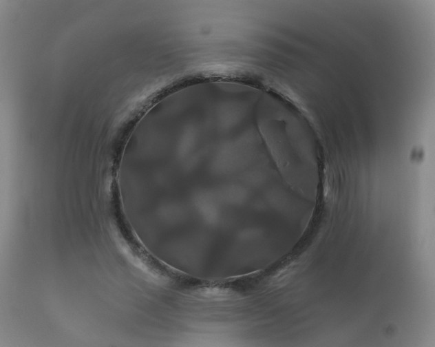 X0000112200637200908141434